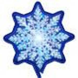Snowflake Pen Shaped