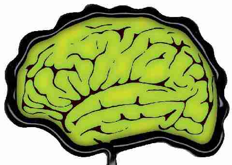 Brain Shaped Pen Green