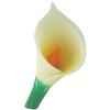 Calla Lily Flower Close Up Fun Shaped Pen, Novelty Pen, Standard Size Pens, Promotional Pens, Personalized Pens.