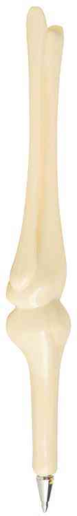 Personalized Knee Joint Pen