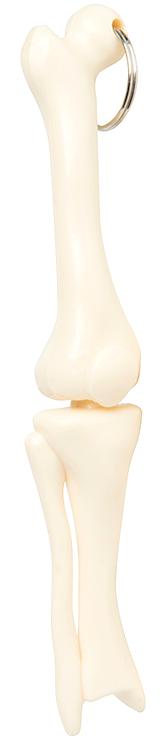Promotional Knee Joint Bone Keyring Keychain