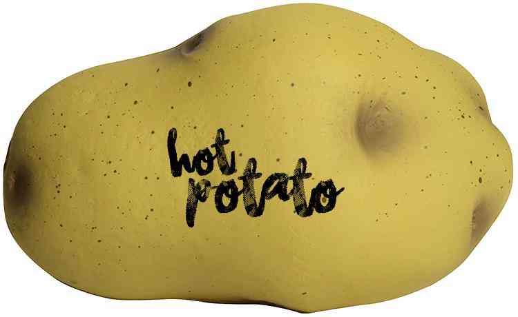 Custom Potato Stress Reliever Balls