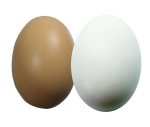 Egg Stress Reliever Balls