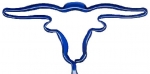 Longhorn Steer Pen